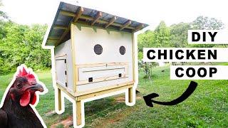 DIY Chicken Coop for 25 Chickens// How to Build 