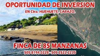 FINCAS EN VENTA - GANGA PROPIEDAD DE 85MZ EN HUEHUETE, CARAZO (Cod.VFp-56)