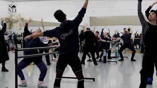 Ranný tréning v rámci Svetového dňa baletu | Morning class during World ballet day | Balet SND