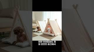 반려동물 전용 텐트 하우스, 딩동펫으로 시작하세요