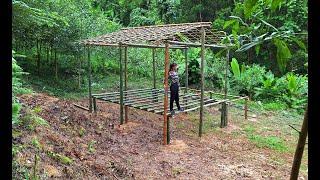 1 year of living in the forest, building a bamboo cabin: making beds, pulling electricity,..