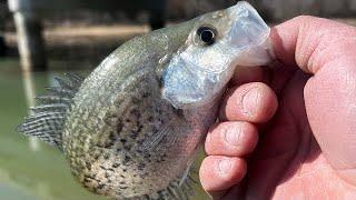 2 HOURS of Crappie Fishing