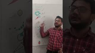 #vegetables name in #signlanguage |#potato #culiflower #carrot #lemon #pea #bringal  #hafizwasim99