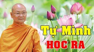 Mỗi Người Có 1 Sinh Nghiệp Nên Phải Tự Học Ra Bài Học Của Chính Minh - Ht Viên Minh Giảng