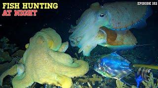 NIGHT SPEARFISHING EPISODE 152 | FISH HUNTING AT NIGHT