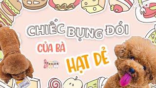 Hạt Dẻ có Chiếc Bụng Đói háu ăn | Thanh xưng của Bà Hạt Dẻ