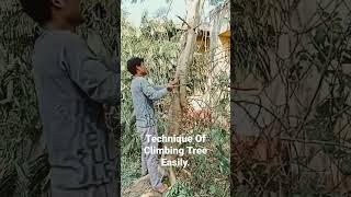 Technique Of Climbing Tree Easily. #shorts