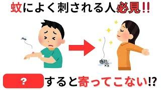 蚊に刺される人必見　明日から直ぐに実践できる対処法とは？