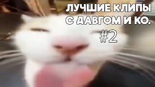 Dawg & Ko - Лучшие Клипы #2