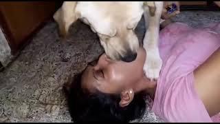 Women Kissing Dog | Dog Lip Kissing | Animals Love #Dogkiss#womenkiss#animalslove 