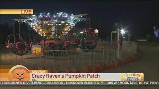 Crazy Ravens Pumpkin Patch