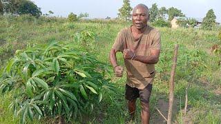 FERME INTERGRÉE LES TOUMBOUS A VILLAGE NDAKU YA PEMBE