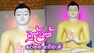 buddan saranan gachchami | 2021 New Buddha Sisila