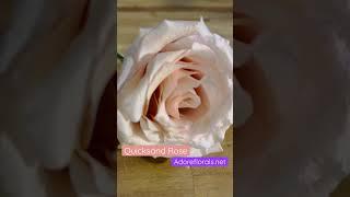 #quicksand #florist #floral #flower #freshflower quicksand rose