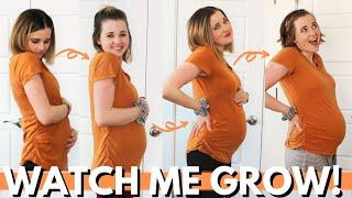 WEEK BY WEEK PREGNANCY PROGRESSION 4 - 20 WEEKS! | 1st Half of Pregnancy Belly Progression