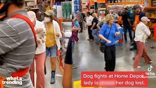 Dog Fight in Home Depot Causes Outrage | What's Trending Explained