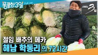 [다큐3일⭑Full] 찬바람 부는 '김장철'이 되면 바빠지는 배추밭 사람들의 이야기 ‘해남 학동리'의 72시간 | KBS 방송