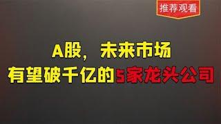 A股，未来市值有望破千亿的5家龙头公司