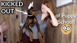 Doberman Pinscher Puppy KICKED OUT of Puppy School!? | Day in the life with a baby, toddler, & puppy