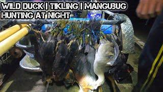 e178 Wild Duck | Tikling | Mangubug Hunting at night | D Ilocano Hunter