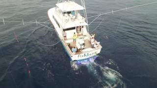 Fishbone Sportfishing