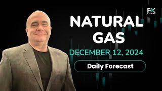 Natural Gas Price Forecast Today, Technical Analysis (December 12): NatGas Gives Up Early Gains