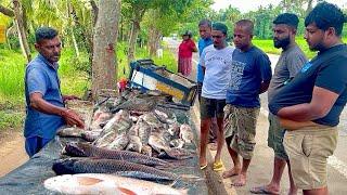 Special! Day In Vlog Sri Lanka's Fisherman's HIDDEN GEM Of Beautiful Village Fish Market