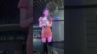 Advertising 3D Hologram Fan Holographic Projector 3D Holographic Display