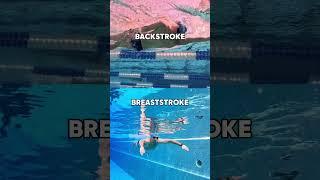 SWIM CREW—Let’s play! 