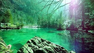 Relaxing Piano Music: Romantic Music, Beautiful Relaxing Music, Sleep Music, Stress Relief 122