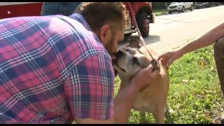 Good Samaritan saves beloved rescue dog from Wauwatosa house fire