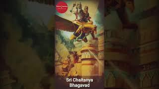 Sri Chaitanya Bhagwat path #isckonmayapur  #bangla #sorts #srichaitanya #spirituality #harikatha