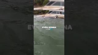 Shocking Remains Found During Scuba Dive!
