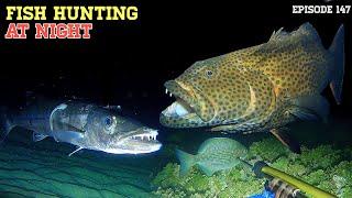 NIGHT SPEARFISHING EPISODE 147 | FISH HUNTING AT NIGHT