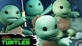 Every Time The Ninja Turtles Were BABIES  | Teenage Mutant Ninja Turtles