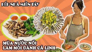 Miền Tây Mùa Nước Nổi. Làm Mồi Đánh Cá Linh. Kênh Thầy Ký