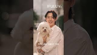 [IFULUV 이퓨럽] STREET PET-OGRAPHY 003 (스트릿 펫토그래피) #강아지산책 #강아지 #이퓨럽 #이퓨럽TV #ifuluv #ifuluvtv
