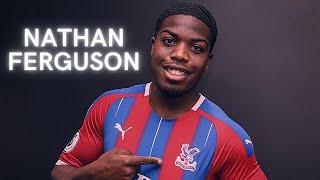 Nathan Ferguson Skills