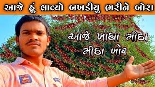 ઓહ આટલા બધા બોર || Gujarati mini vlog  || My new vlog 2024 ||#youtubevideo#vlog #gujarativlog