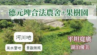 【台南】德元埤合法農舍+超大土地果樹園