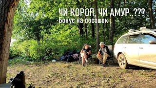 Бонус НА ПОСОШОК... Короп, чи Амур?  Чудова рибалка. Шабашимо...  Fishing Video