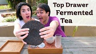 Top Drawer Fermented Tea