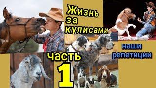 Репетиция в нашем цирке Yakubovskie.ru dog-show CIRCUS