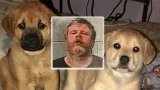 Man accused of skinning neighbor's dogs