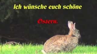 Wünsche euch schöne Ostern.