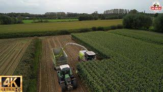 full version Cornharvest 2023 Jennissen Claas jaguar 950 + 750 orbis + 4 fendt +kaweco +dronefootage