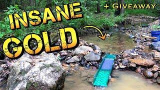 Record Gold in one cleanup! Insanely Rich Gold Deposit found Gold Prospecting