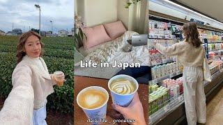 LIVING IN JAPAN | daily groceries w/prices, life in japan countryside, a night in shibuya!