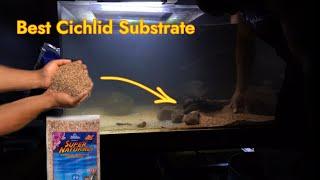 This Might Be The Best Substrate For New World Cichlids...