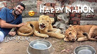 Happy Nation ft. Lion king  | shehr main dihat | video editing |